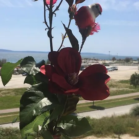 Lägenhet Adela Apartments - Beach Znjan Split