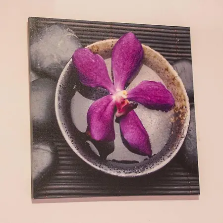 Adela - Znjan * Split