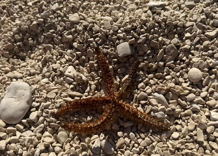 Appartamento Adela - Znjan Spalato